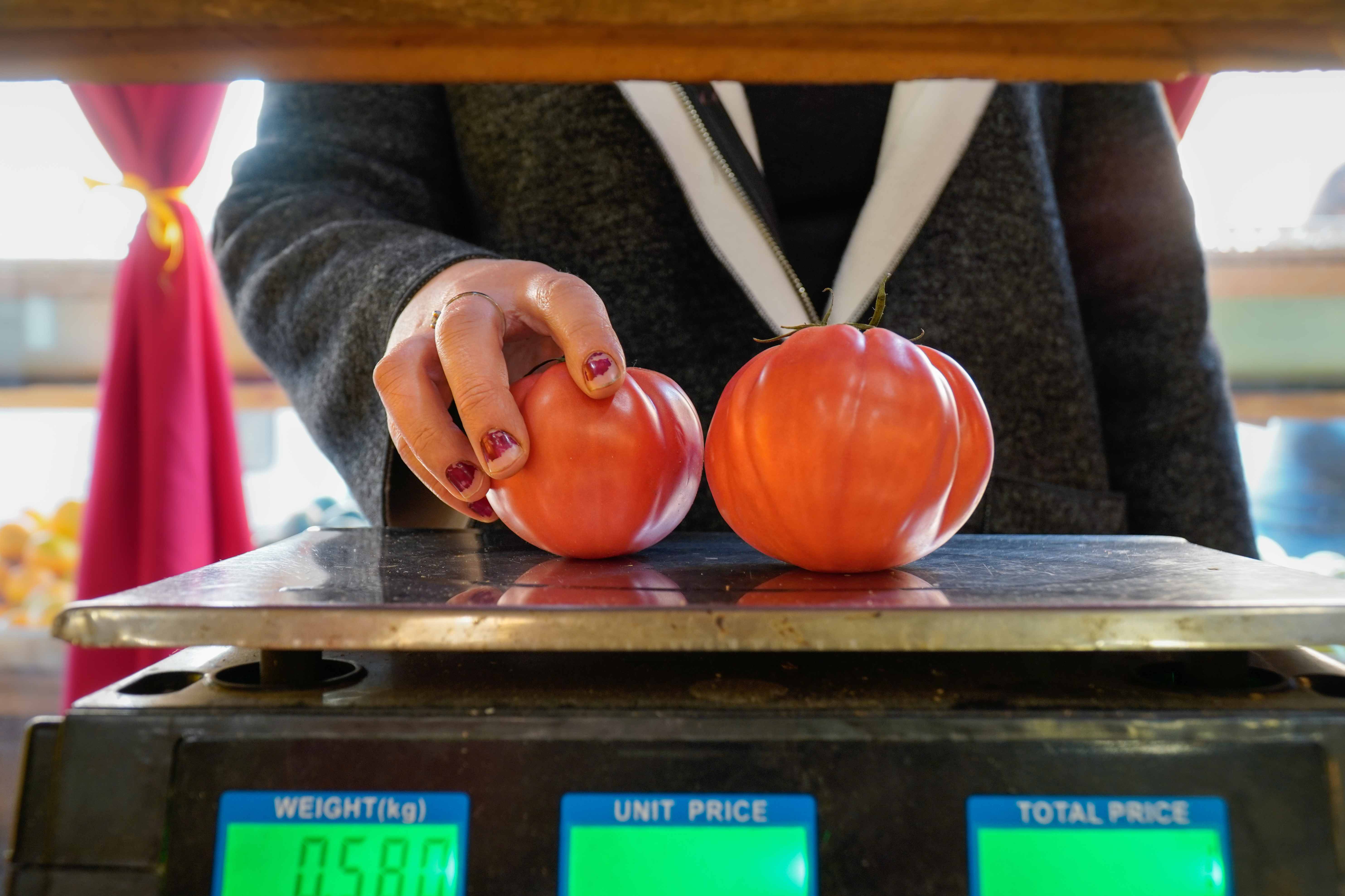 Техника Помидора: как разбить день на продуктивные интервалы