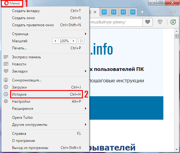 Как очистить историю в Опере: 4 способа