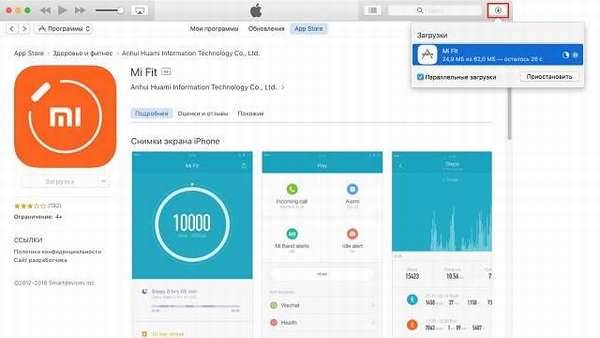 Как сделать откат к старой версии приложения на iOS &ndash; подробное руководство