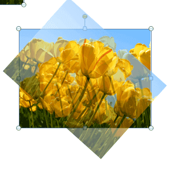 Щелкнув по нему левой кнопкой