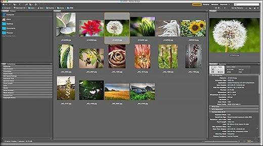 Как открыть изображение в Photoshop?