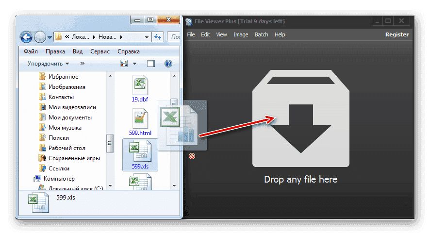 Перетащите файл XLS из проводника Windows в File Viewer Plus